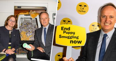 MPs urged to help end puppy smuggling